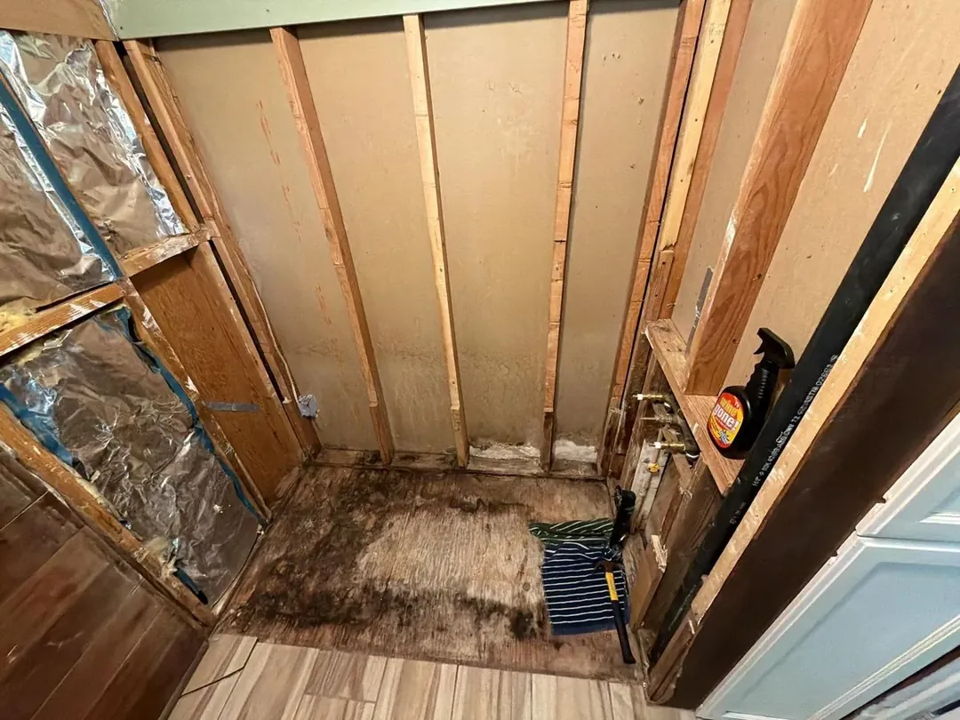 Mold remediation exposing an affected wall cavity on a Mendocino County job